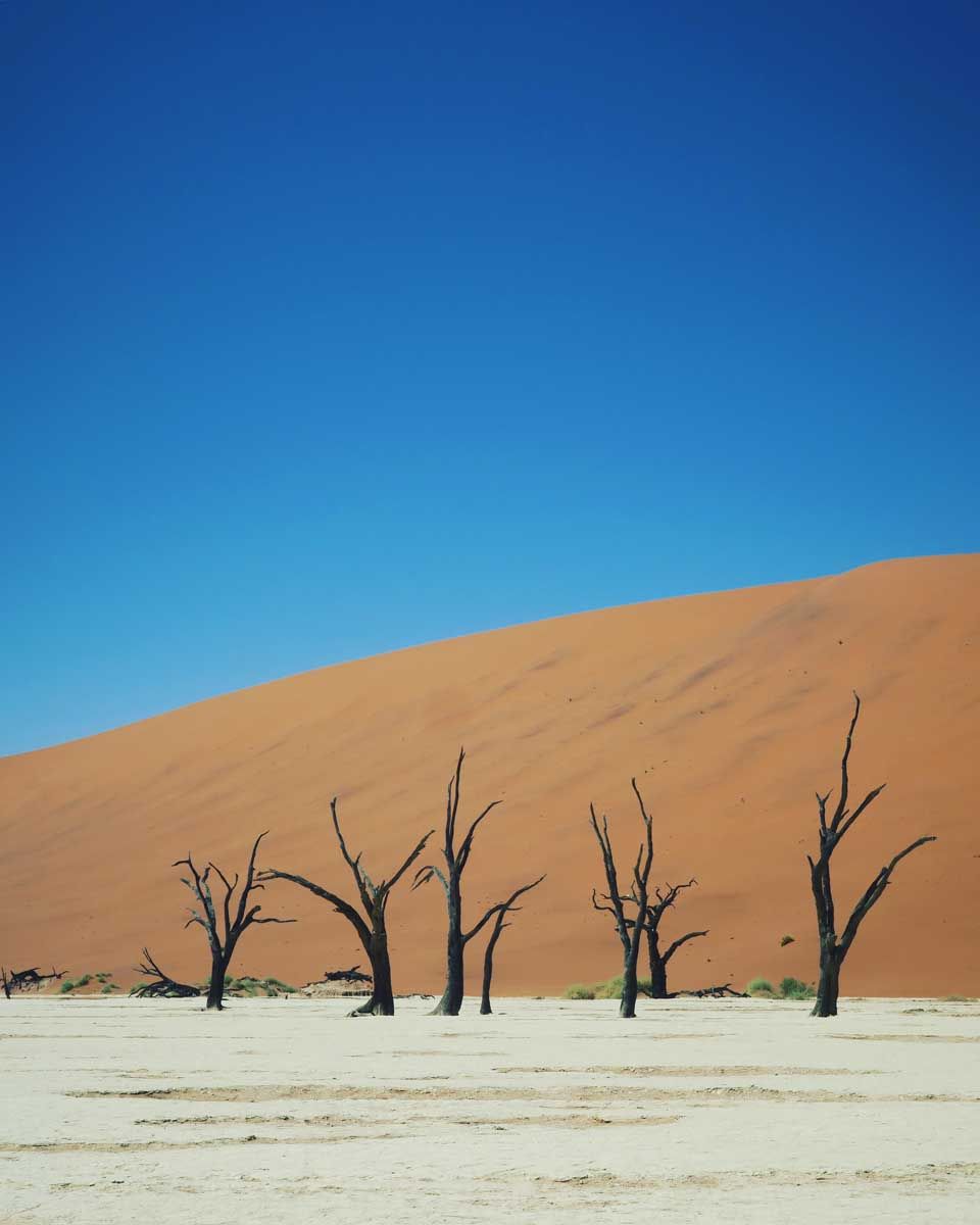 Een outdoortripje naar Namibië